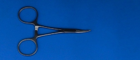 Mosquito