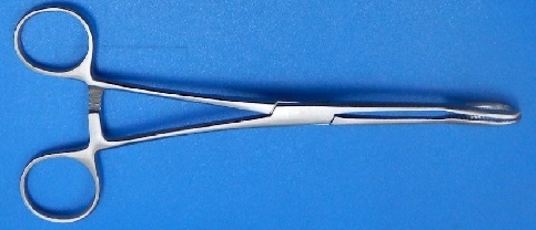 Sponge forceps