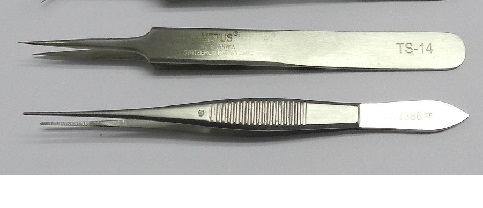 Straight Dressing Forceps