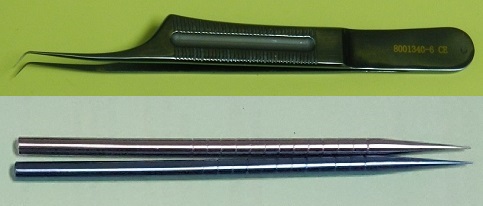 Angle forceps / Dilator